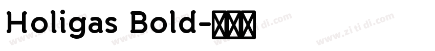 Holigas Bold字体转换